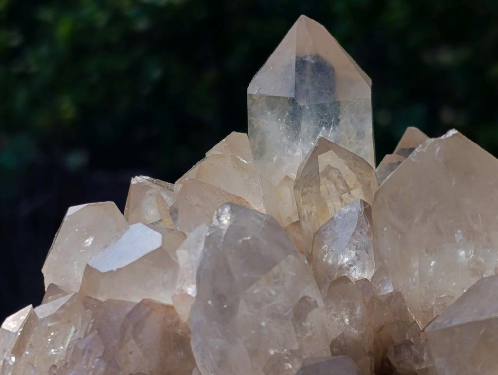 Natural Clear Smokey Pale Citrine Quartz Clusters x 2 From Luena, Congo