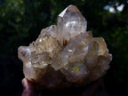 Natural Clear Smokey Pale Citrine Quartz Clusters x 2 From Luena, Congo