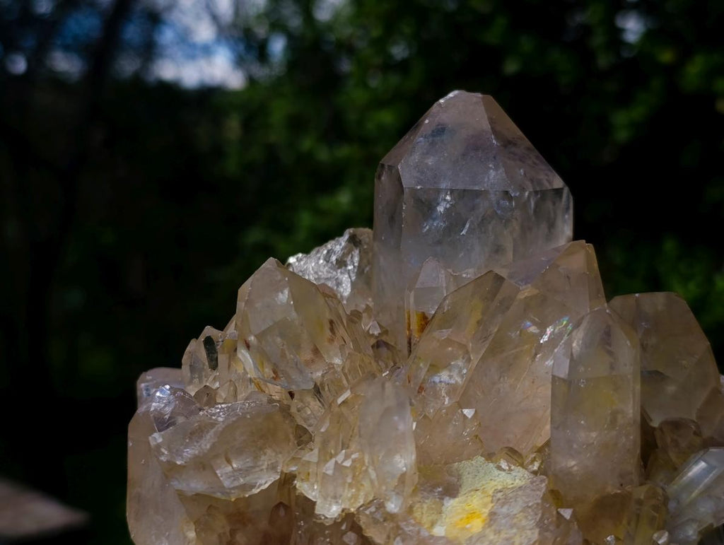 Natural Clear Smokey Pale Citrine Quartz Clusters x 2 From Luena, Congo