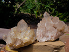 Natural Clear Smokey Pale Citrine Quartz Clusters x 2 From Luena, Congo