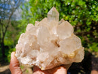 Natural Clear Smokey Pale Citrine Quartz Clusters x 2 From Luena, Congo