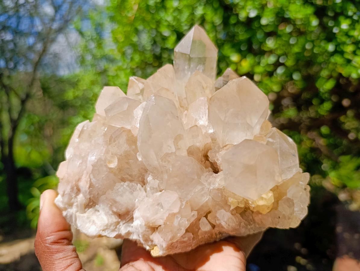 Natural Clear Smokey Pale Citrine Quartz Clusters x 2 From Luena, Congo