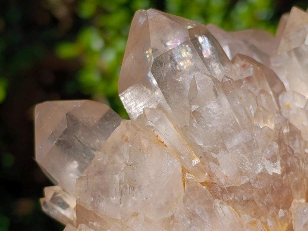 Natural Clear Smokey Pale Citrine Quartz Clusters x 2 From Luena, Congo
