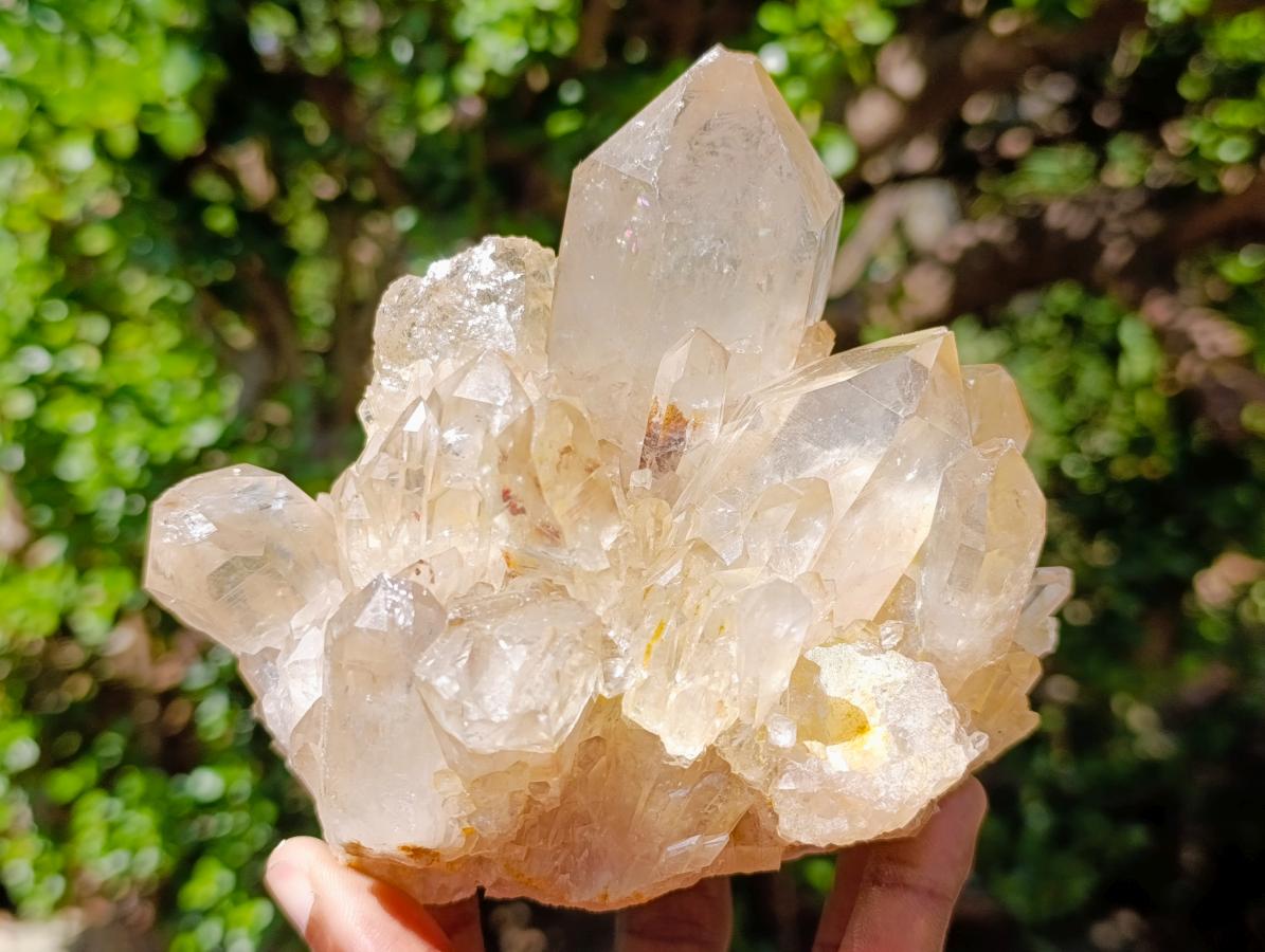Natural Clear Smokey Pale Citrine Quartz Clusters x 2 From Luena, Congo