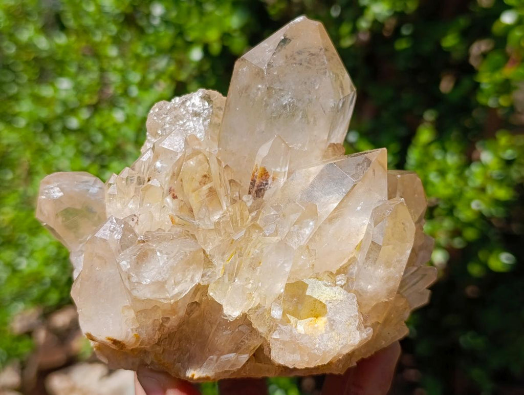 Natural Clear Smokey Pale Citrine Quartz Clusters x 2 From Luena, Congo