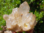 Natural Clear Smokey Pale Citrine Quartz Clusters x 2 From Luena, Congo