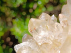 Natural Clear Smokey Pale Citrine Quartz Clusters x 2 From Luena, Congo