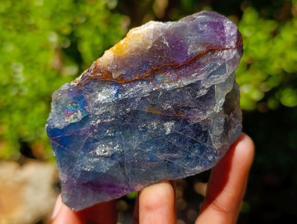 Polished One Side Watermelon Fluorite Slices x 6 From Uis, Namibia