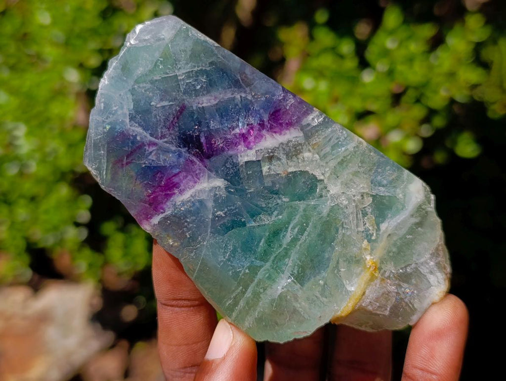 Polished One Side Watermelon Fluorite Slices x 6 From Uis, Namibia