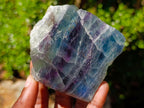 Polished One Side Watermelon Fluorite Slices x 6 From Uis, Namibia