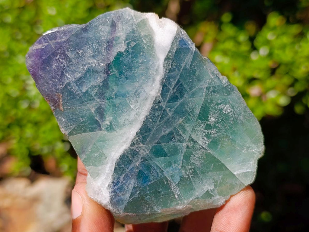 Polished One Side Watermelon Fluorite Slices x 6 From Uis, Namibia