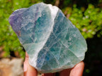 Polished One Side Watermelon Fluorite Slices x 6 From Uis, Namibia