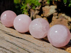 Polished Gemmy Rose Quartz Spheres x 4 From Madagascar