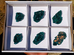 Natural Dioptase Specimens on Dolomite Matrix x 6 From Tantara Mine, Congo