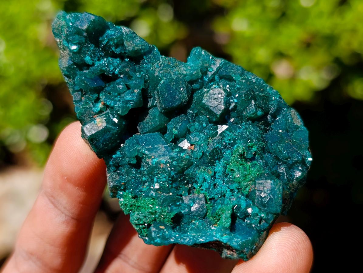 Natural Dioptase Specimens on Dolomite Matrix x 6 From Tantara Mine, Congo