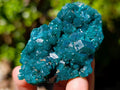 Natural Dioptase Specimens on Dolomite Matrix x 6 From Tantara Mine, Congo
