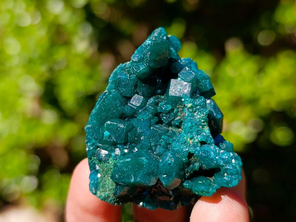Natural Dioptase Specimens on Dolomite Matrix x 6 From Tantara Mine, Congo
