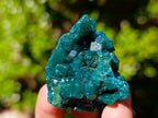 Natural Dioptase Specimens on Dolomite Matrix x 6 From Tantara Mine, Congo