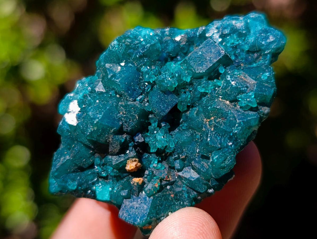 Natural Dioptase Specimens on Dolomite Matrix x 6 From Tantara Mine, Congo