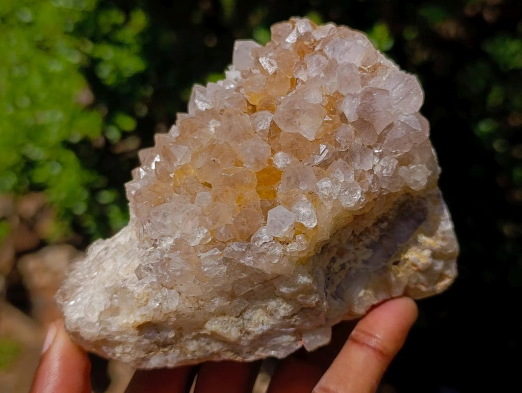 Natural Large Spirit Amethyst Clusters x 6 From Boekenhouthoek, South Africa