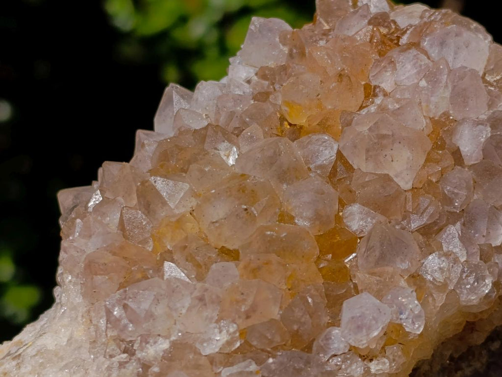 Natural Large Spirit Amethyst Clusters x 6 From Boekenhouthoek, South Africa