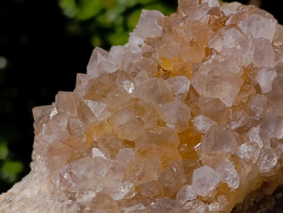Natural Large Spirit Amethyst Clusters x 6 From Boekenhouthoek, South Africa