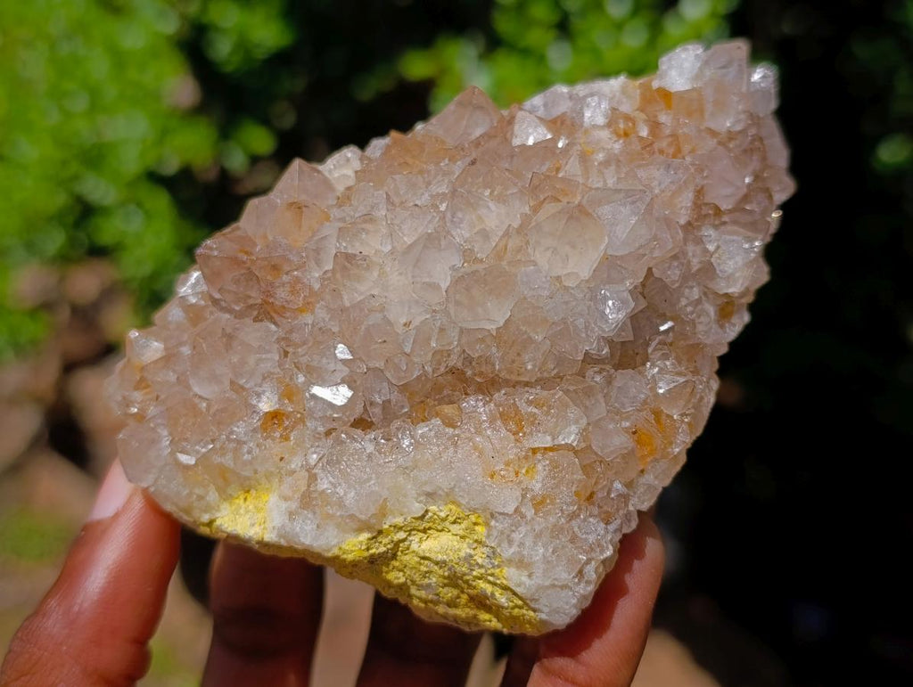 Natural Large Spirit Amethyst Clusters x 6 From Boekenhouthoek, South Africa