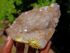 Natural Large Spirit Amethyst Clusters x 6 From Boekenhouthoek, South Africa