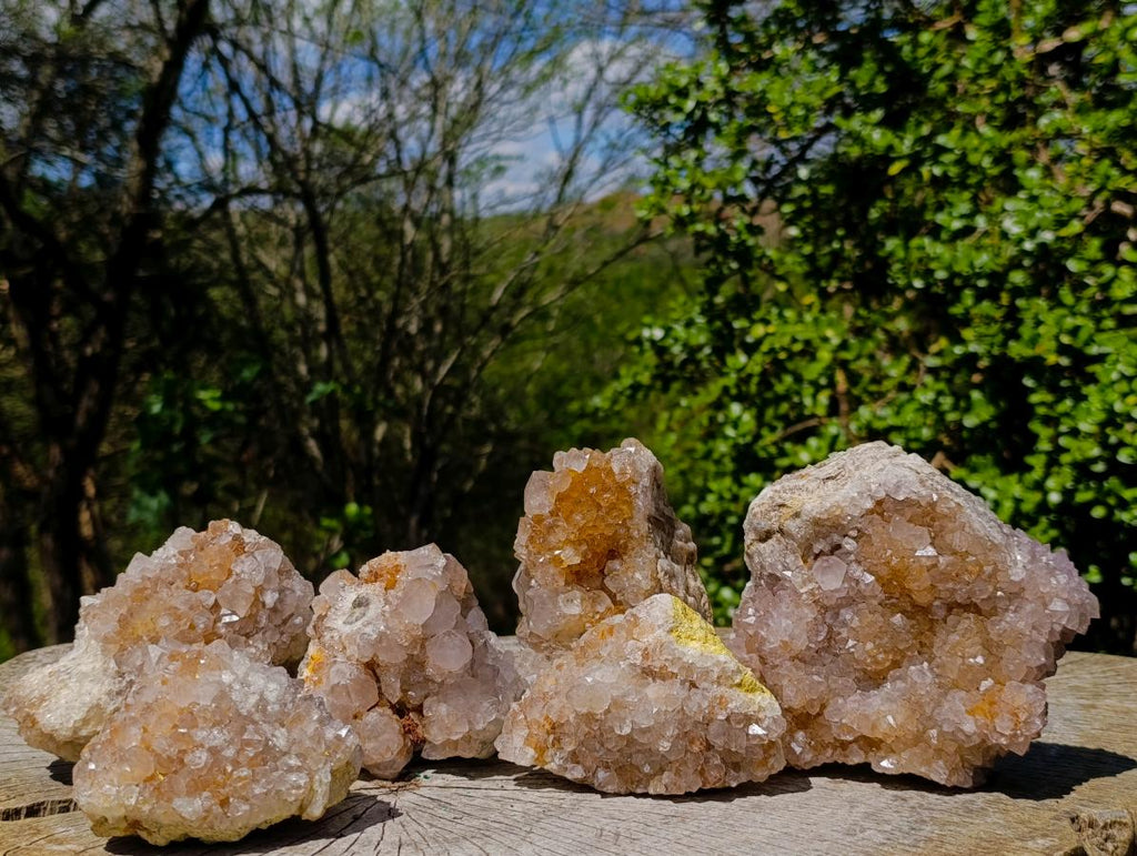 Natural Large Spirit Amethyst Clusters x 6 From Boekenhouthoek, South Africa