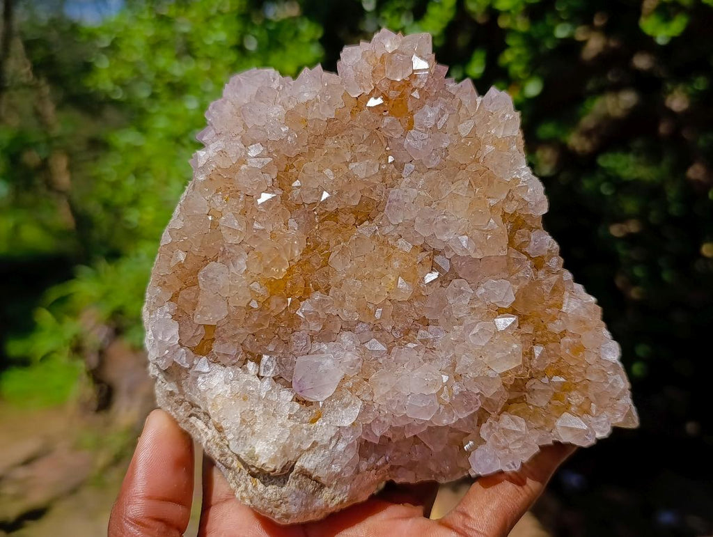 Natural Large Spirit Amethyst Clusters x 6 From Boekenhouthoek, South Africa