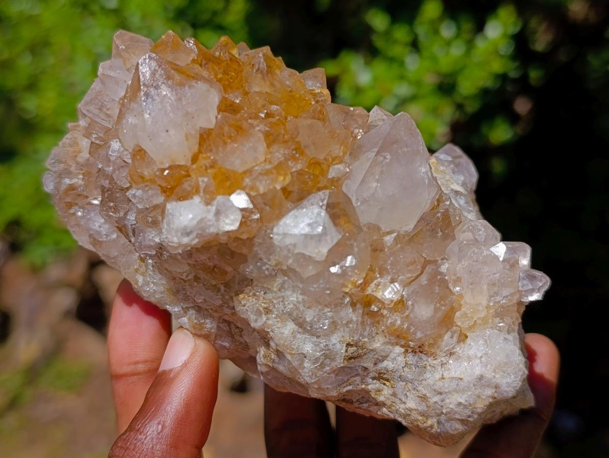Natural Large Spirit Amethyst Clusters x 6 From Boekenhouthoek, South Africa