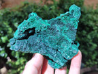 Natural Cabinet Size Silky Malachite Specimens x 2 From Kasompe, Congo