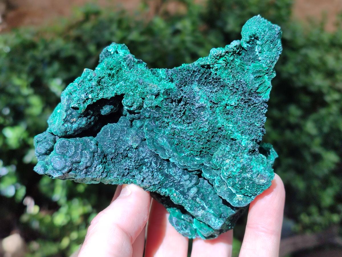 Natural Cabinet Size Silky Malachite Specimens x 2 From Kasompe, Congo