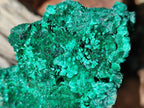 Natural Cabinet Size Silky Malachite Specimens x 2 From Kasompe, Congo