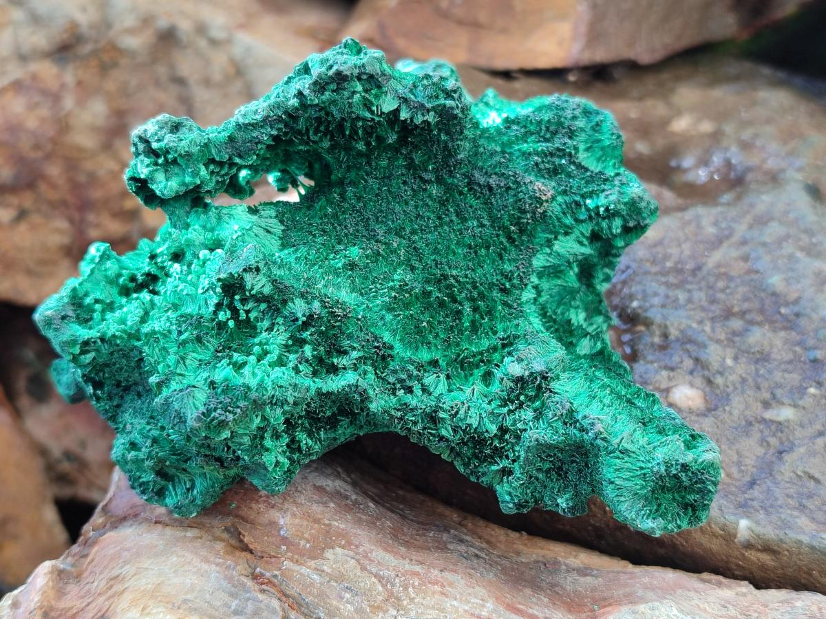 Natural Cabinet Size Silky Malachite Specimens x 2 From Kasompe, Congo