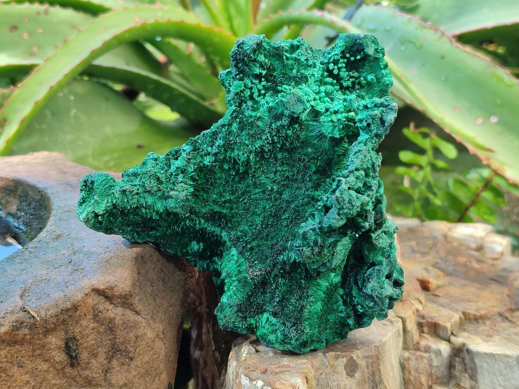 Natural Cabinet Size Silky Malachite Specimens x 2 From Kasompe, Congo