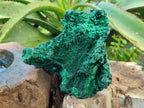Natural Cabinet Size Silky Malachite Specimens x 2 From Kasompe, Congo