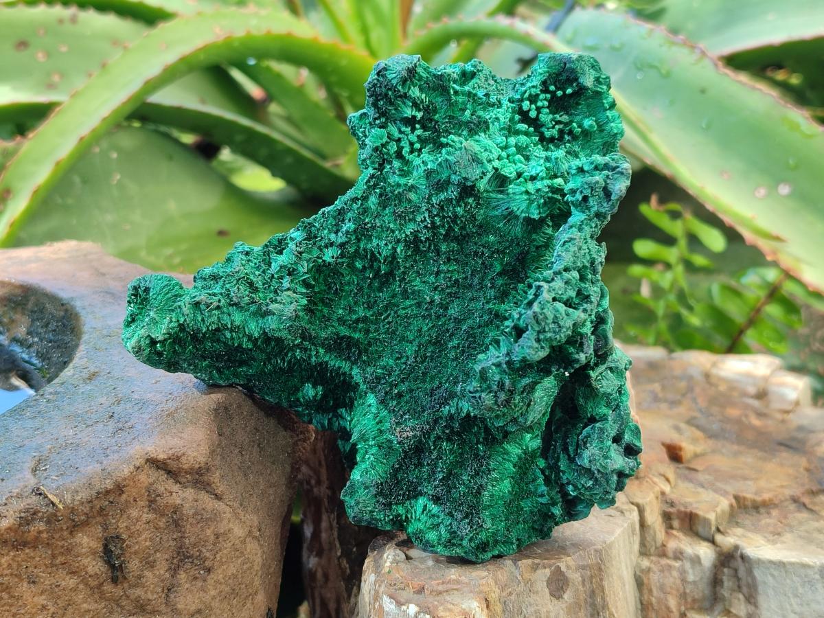 Natural Cabinet Size Silky Malachite Specimens x 2 From Kasompe, Congo