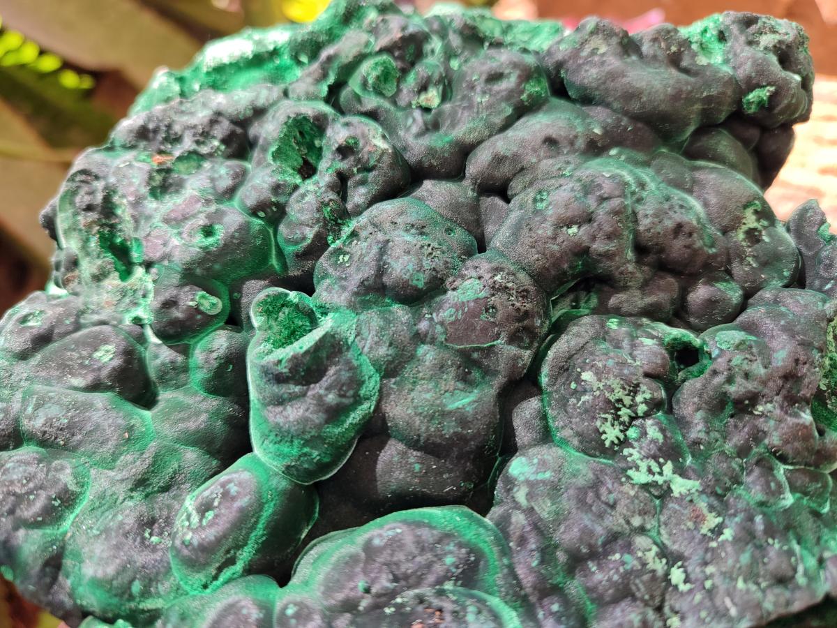 Natural Cabinet Size Silky Malachite Specimens x 2 From Kasompe, Congo