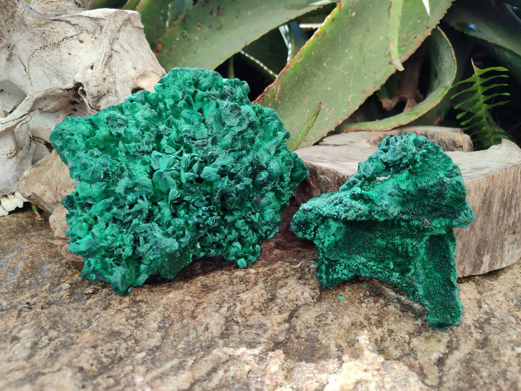 Natural Cabinet Size Silky Malachite Specimens x 2 From Kasompe, Congo