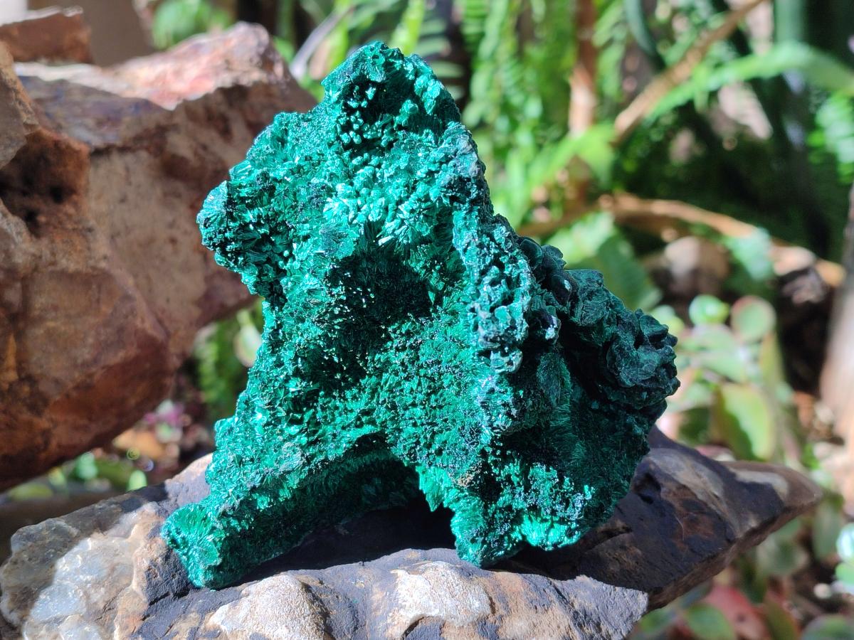Natural Cabinet Size Silky Malachite Specimens x 2 From Kasompe, Congo