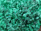 Natural Cabinet Size Silky Malachite Specimens x 2 From Kasompe, Congo