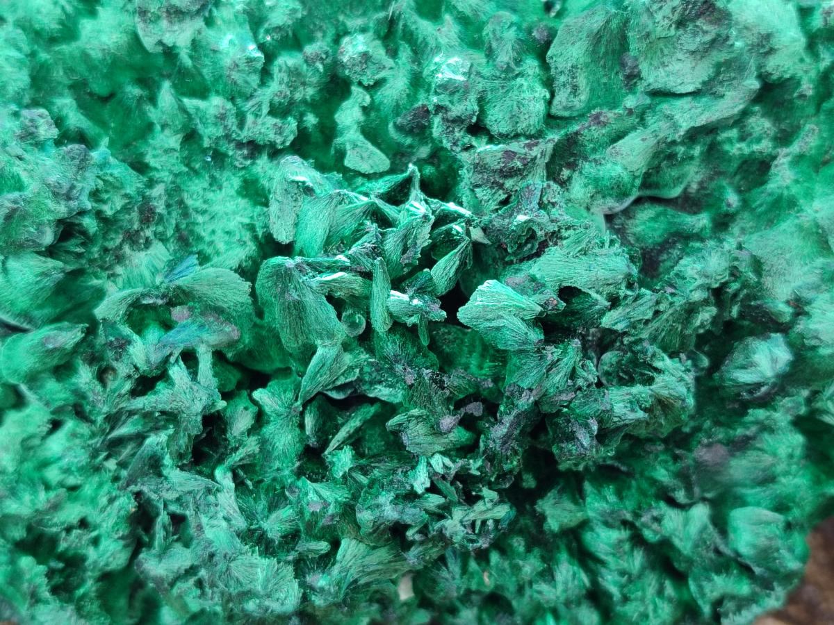 Natural Cabinet Size Silky Malachite Specimens x 2 From Kasompe, Congo