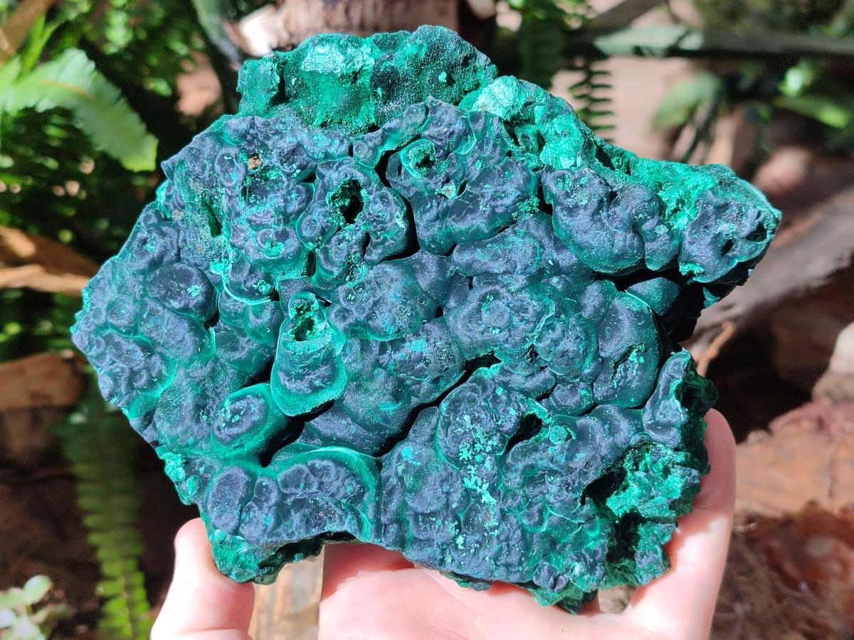 Natural Cabinet Size Silky Malachite Specimens x 2 From Kasompe, Congo
