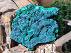 Natural Cabinet Size Silky Malachite Specimens x 2 From Kasompe, Congo