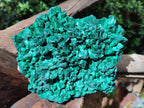 Natural Cabinet Size Silky Malachite Specimens x 2 From Kasompe, Congo