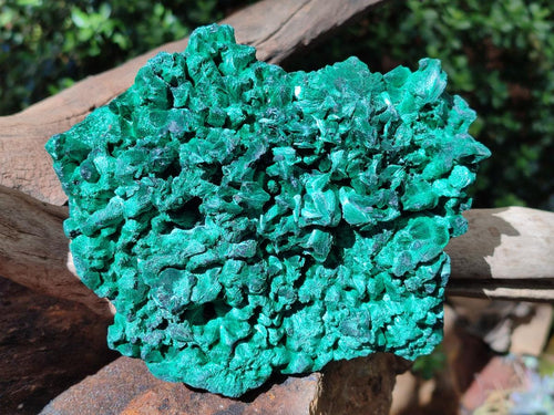 Natural Cabinet Size Silky Malachite Specimens x 2 From Kasompe, Congo
