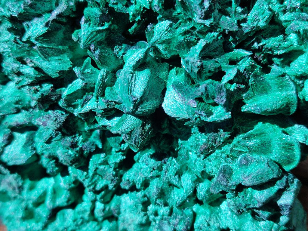Natural Cabinet Size Silky Malachite Specimens x 2 From Kasompe, Congo