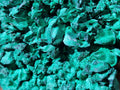 Natural Cabinet Size Silky Malachite Specimens x 2 From Kasompe, Congo
