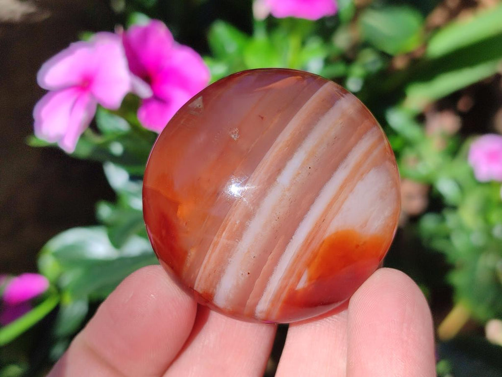 Polished and Natural Carnelian Agate Gemstone Galets x 20 From Madagascar